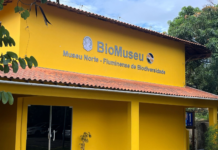 Nova mostra de mamíferos taxidermizados comemora a Semana Nacional dos Museus em Macaé