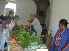 Do lote à feira. Artigo discute gargalos que afetam a comercialização da produção agrícola dos assentamentos de reforma agrária em Campos