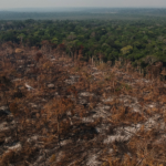 O desmonte ambiental como ruptura histórica das bases ecológicas da sociedade