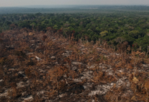 O desmonte ambiental como ruptura histórica das bases ecológicas da sociedade