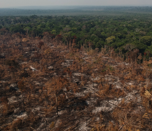 O desmonte ambiental como ruptura histórica das bases ecológicas da sociedade
