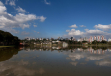 Por que a natureza é a infraestrutura mais inteligente que as cidades podem ter?