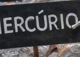 Epidemiologia nas comunidades pesqueiras requerida em audiência