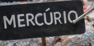 Epidemiologia nas comunidades pesqueiras requerida em audiência