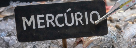 Epidemiologia nas comunidades pesqueiras requerida em audiência