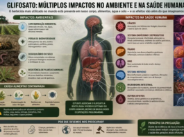 Glifosato: ciência em disputa, exposição massiva e os limites da regulação