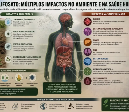 Glifosato: ciência em disputa, exposição massiva e os limites da regulação