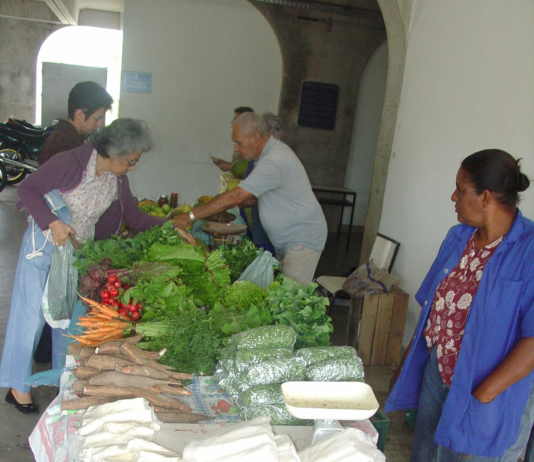 Do lote à feira. Artigo discute gargalos que afetam a comercialização da produção agrícola dos assentamentos de reforma agrária em Campos