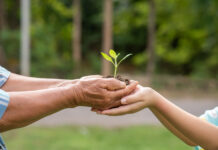 5 de junho, Dia Nacional do Meio Ambiente