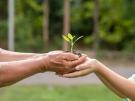 5 de junho, Dia Nacional do Meio Ambiente