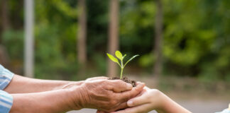 5 de junho, Dia Nacional do Meio Ambiente