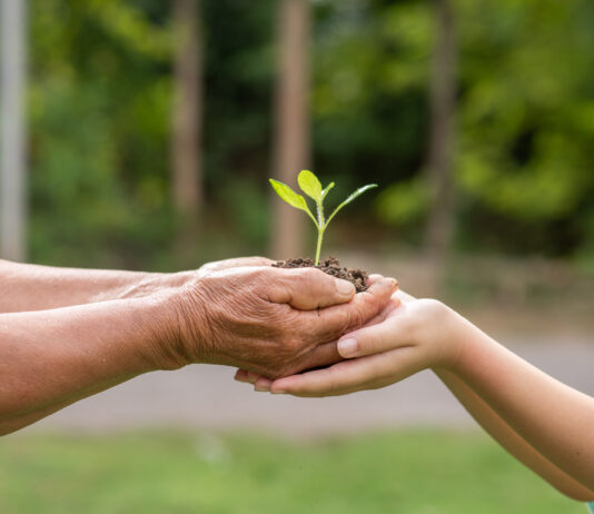 5 de junho, Dia Nacional do Meio Ambiente
