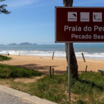 Conselho Regional de Biologia acata a denúncia na Praia do Pecado