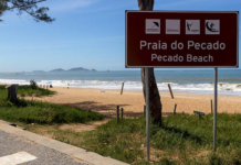 Conselho Regional de Biologia acata a denúncia na Praia do Pecado