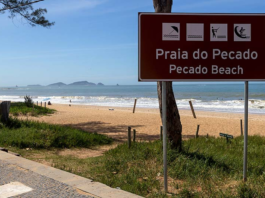 Conselho Regional de Biologia acata a denúncia na Praia do Pecado