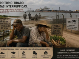 Festival das Águas ou Festival do Greenwashing?