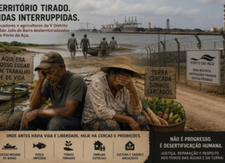 Festival das Águas ou Festival do Greenwashing?