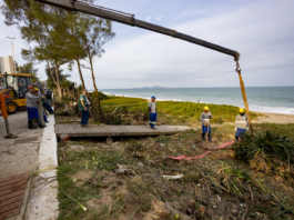 Intervenções em restingas reacendem debate nacional sobre preservação ambiental e participação popular
