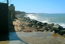 Saúde dos mares piora, desregula o clima e ameaça a costa brasileira