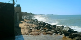 Saúde dos mares piora, desregula o clima e ameaça a costa brasileira