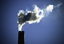 OC lança plano sobre clima e meio ambiente para eleições 2026