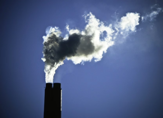 OC lança plano sobre clima e meio ambiente para eleições 2026