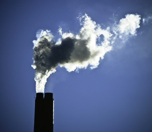 OC lança plano sobre clima e meio ambiente para eleições 2026
