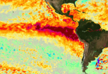 IBGE lança plataforma para prevenção de desastres climáticos com foco no El Niño