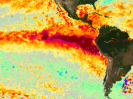 IBGE lança plataforma para prevenção de desastres climáticos com foco no El Niño