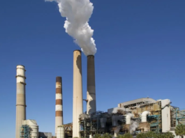 Brasil recebe aprovação de fundo climático global para Plano de Descarbonização Industrial