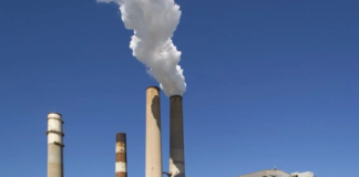 Brasil recebe aprovação de fundo climático global para Plano de Descarbonização Industrial