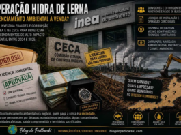 Quando o licenciamento ambiental vira um balcão de negócios, quem paga a conta é a sociedade