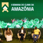 Fim do desmatamento não precisa esperar pelo mapa do caminho da COP30
