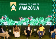 Fim do desmatamento não precisa esperar pelo mapa do caminho da COP30