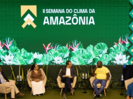 Fim do desmatamento não precisa esperar pelo mapa do caminho da COP30