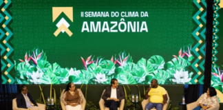Fim do desmatamento não precisa esperar pelo mapa do caminho da COP30