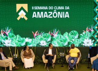 Fim do desmatamento não precisa esperar pelo mapa do caminho da COP30