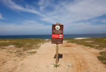Restinga de Maricá: disputa pelo território opõe empresa e comunidades