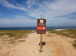 Restinga de Maricá: disputa pelo território opõe empresa e comunidades