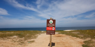 Restinga de Maricá: disputa pelo território opõe empresa e comunidades