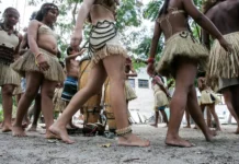 Saberes indígenas do CE chegarão ao SUS em projeto com 10 plantas medicinais