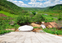 Manejo, restauração e educação ambiental pautam participação brasileira na COP17