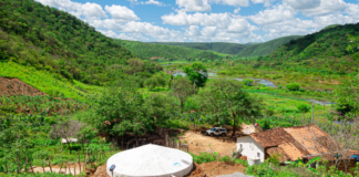 Manejo, restauração e educação ambiental pautam participação brasileira na COP17