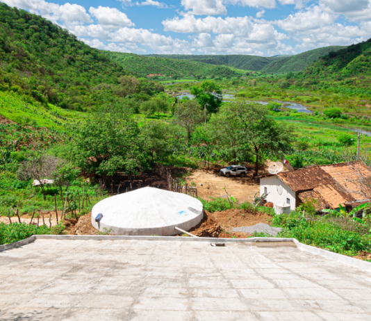 Manejo, restauração e educação ambiental pautam participação brasileira na COP17