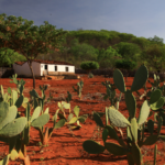 Brasil apresenta meta para Neutralidade da Degradação da Terra durante COP 17, na Mongólia