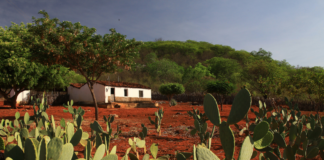 Brasil apresenta meta para Neutralidade da Degradação da Terra durante COP 17, na Mongólia