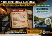 O metano e a mentira organizada: novos documentos reforçam a responsabilidade histórica das petrolíferas pela crise climática