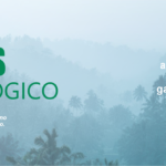 ICMS Ecológico: como a conservação ambiental contribui para o desenvolvimento dos municípios fluminenses