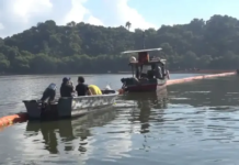 Projeto usa cabelos descartados por salões para ajudar na despoluição da Baía de Guanabara