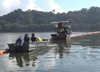 Projeto usa cabelos descartados por salões para ajudar na despoluição da Baía de Guanabara